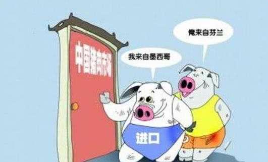 最新疫情搞笑段子大集结！