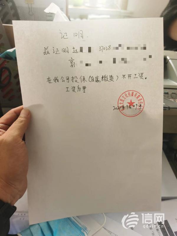 疫情下无收入证明模板详解与应用指南
