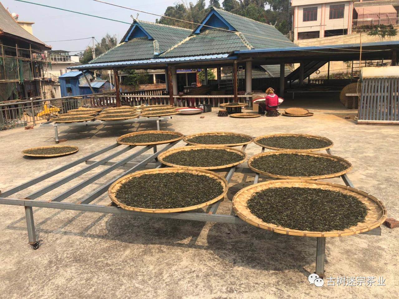 疫情结束时间与生肖天干之谜，探寻未来希望之光之旅