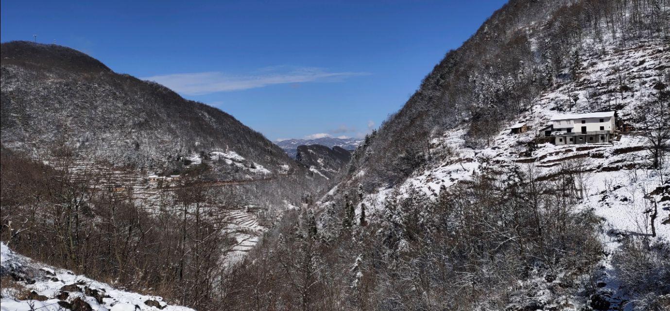 湖北疫情发生年份及其深远影响