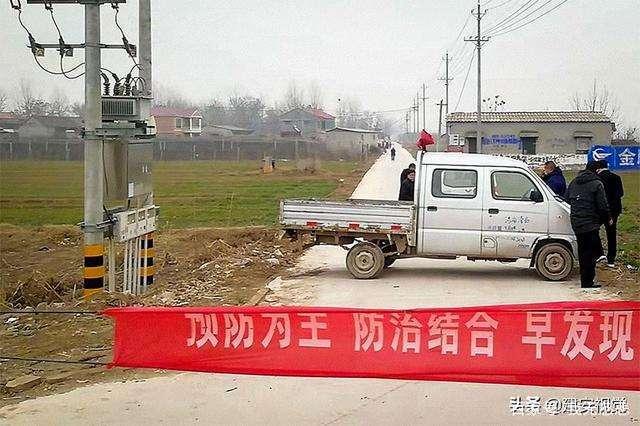 最新疫情封村状况，防控措施与民众生活的交织挑战