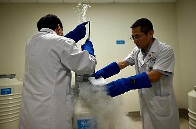 2045年疫情回顾与前瞻，挑战中的创新与人性的光辉