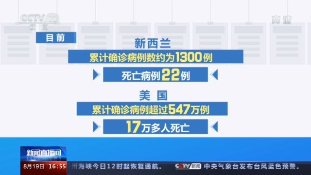 疫情下的生机，低死亡率背后的策略与未来希望探索