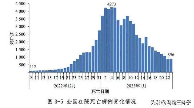 中国疫情死亡人数排名前五省份的挑战与反思