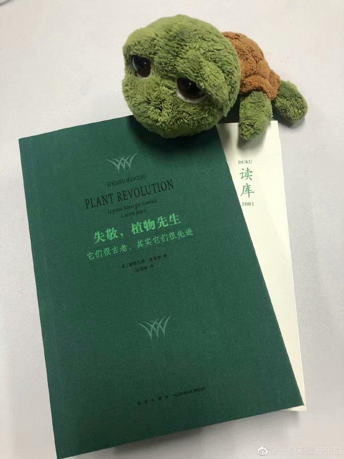 疫情病毒全称解析与深入理解