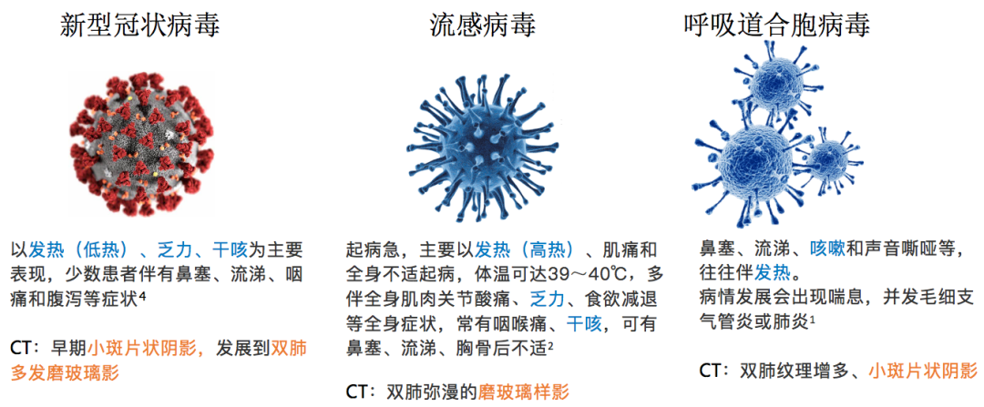 疫情病毒名称及症状表现解析
