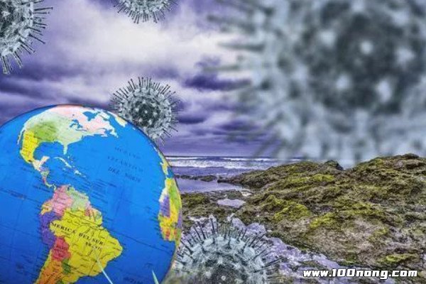 全球疫情未来走向预测，能否在2026年5月画上终结的句号？