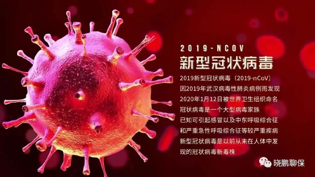 揭秘，2020年疫情背后的病毒真相探究
