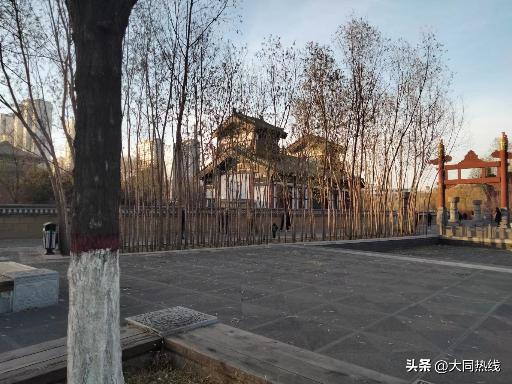 疫情解封新常态下的阳性挑战再次应对
