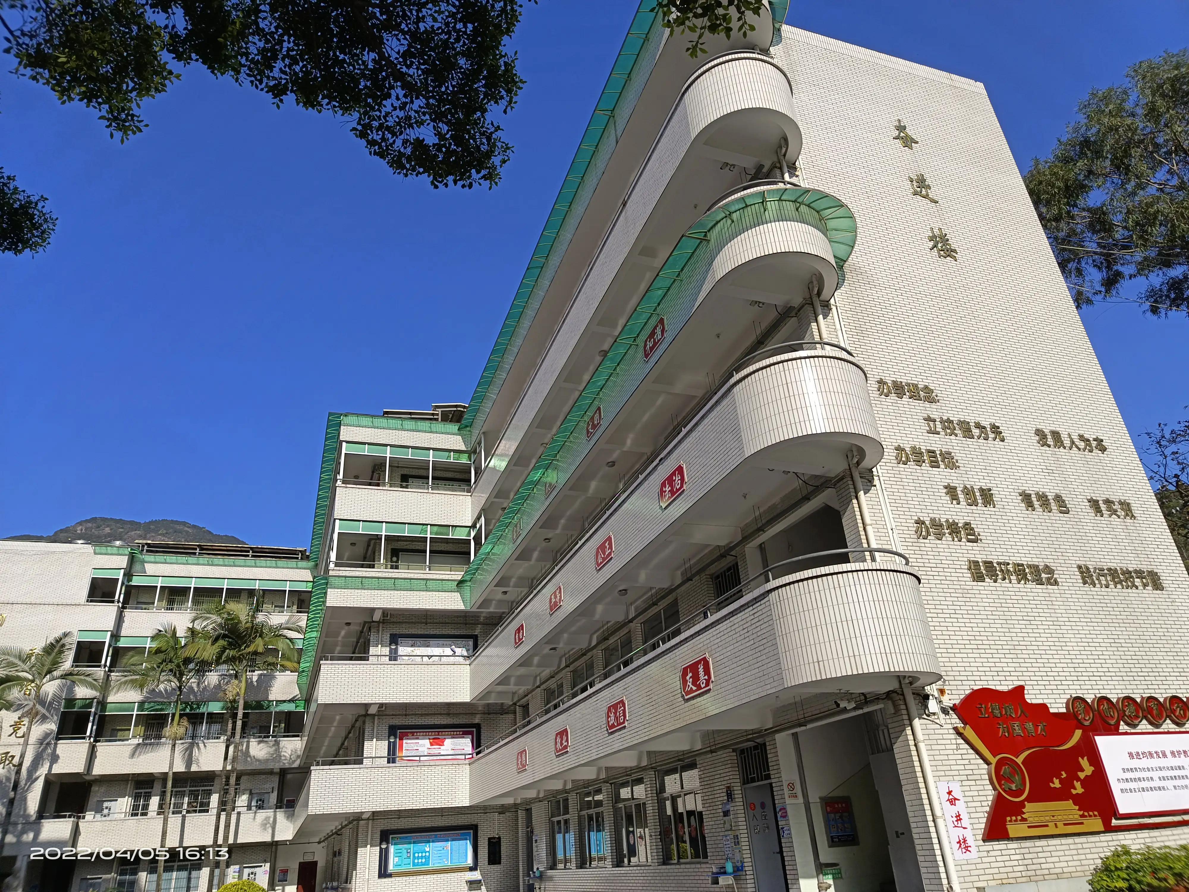疫情全面开放后的曙光初现，未来展望与希望之光