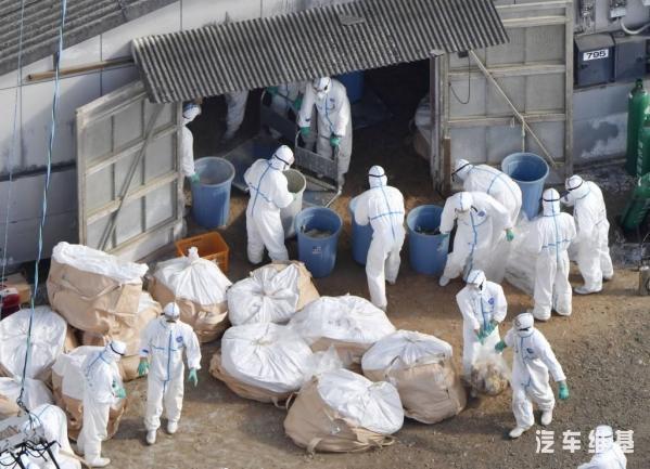 疫情爆发与全球挑战，疫情开始及其影响概述