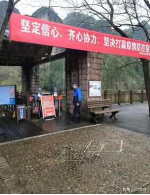 疫情与生肖纪年，历史回溯与未来展望