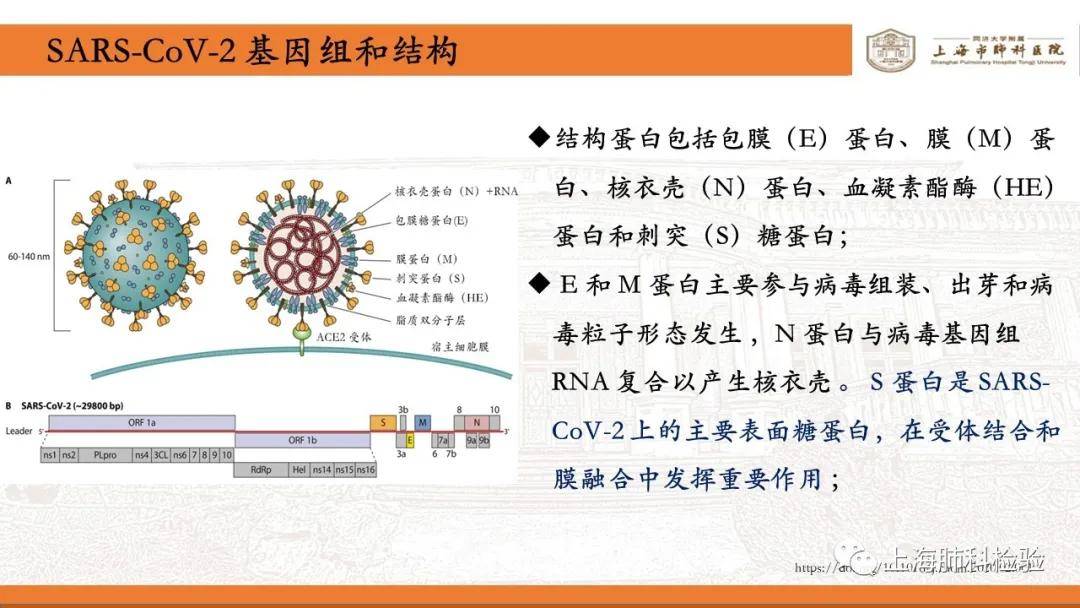 新冠病毒（COVID-19）三年疫情背后的探究