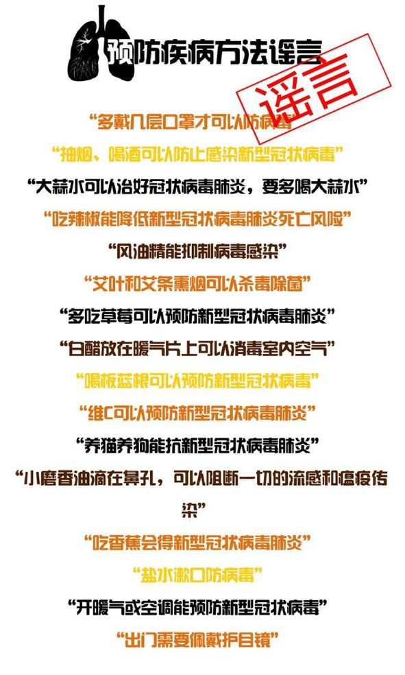 武汉疫情回顾与预测，共同记忆下的历史、科学与人类之路