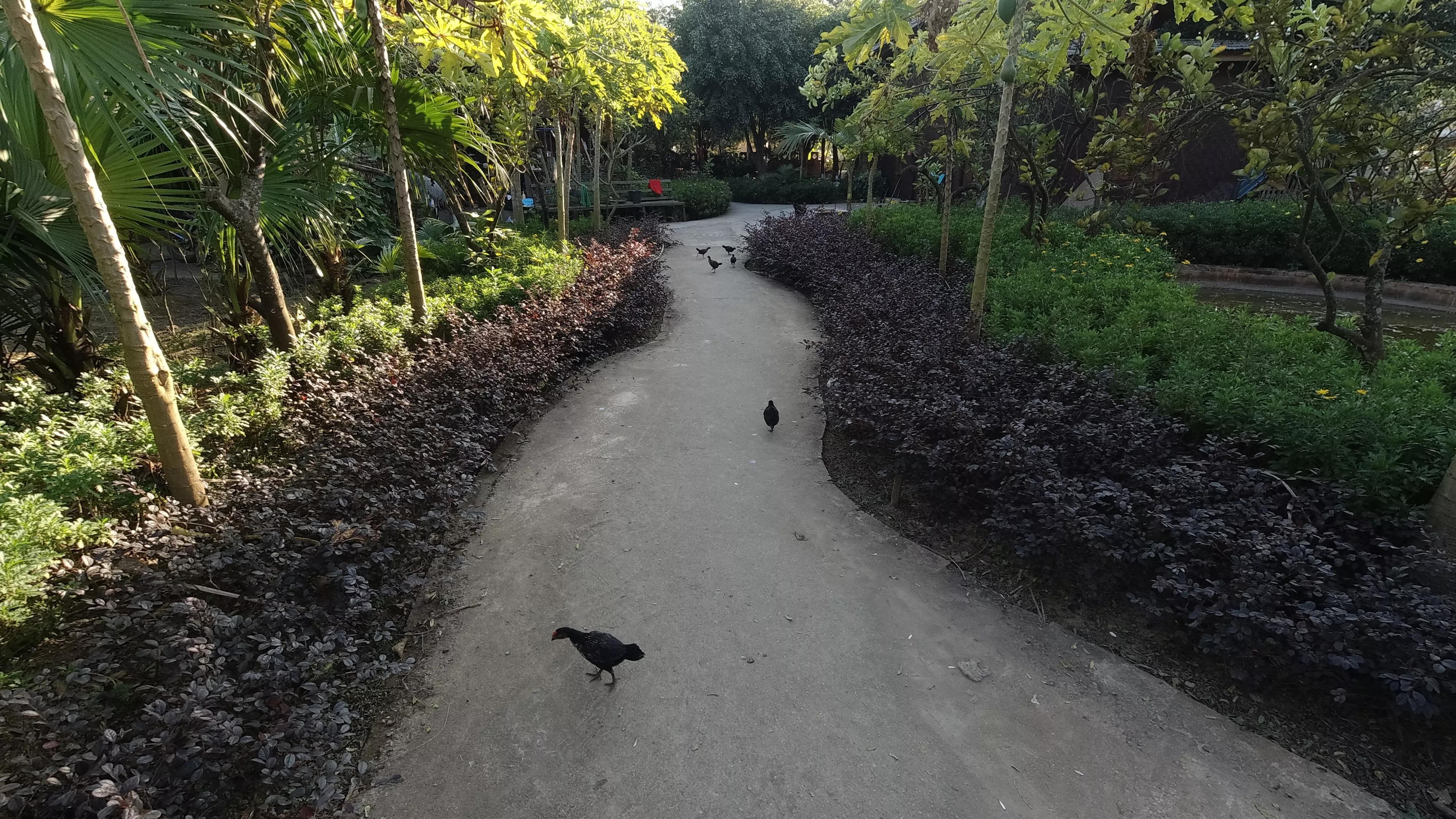瑞丽疫情清零，城市重启生机与希望之旅