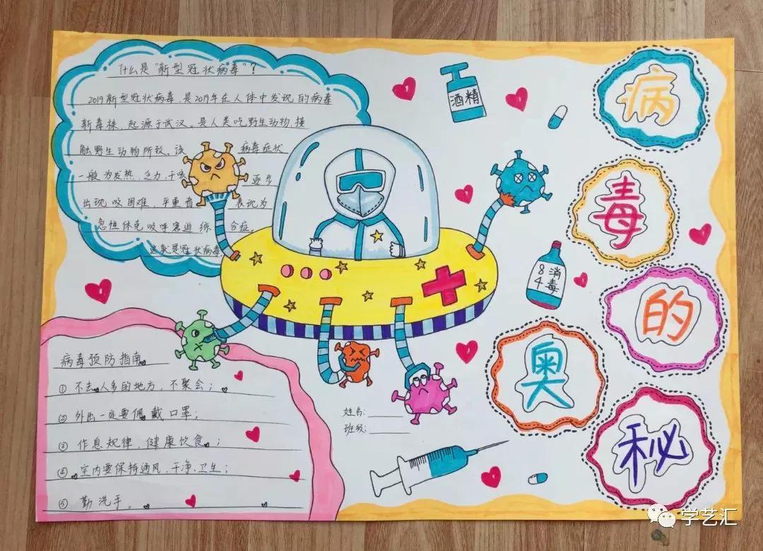 新冠病毒起源与全球疫情影响的探究