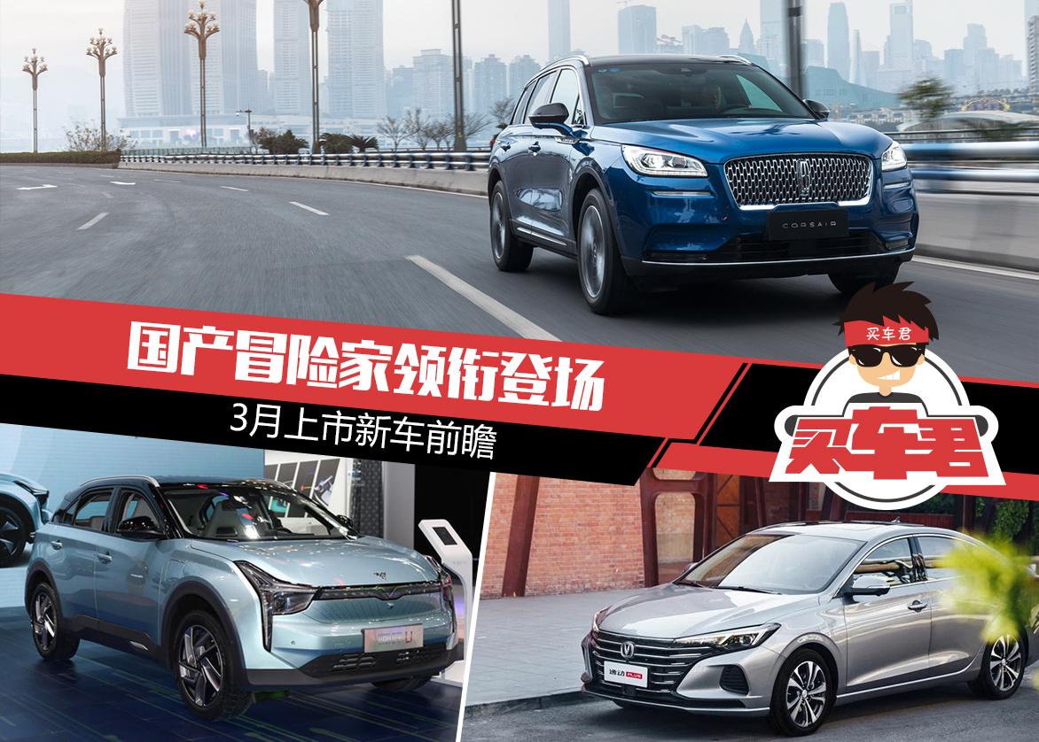 回望与前瞻，疫情背景下的挑战与机遇——聚焦疫情初期案例分析