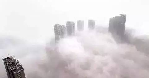 全国疫情结束，曙光再现，希望的春天绽放时刻