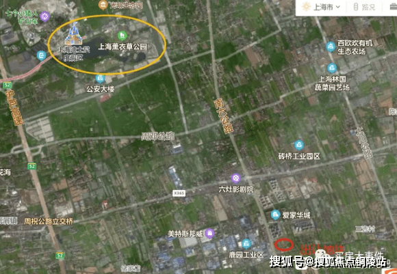 近期疫情病毒类型深度解析