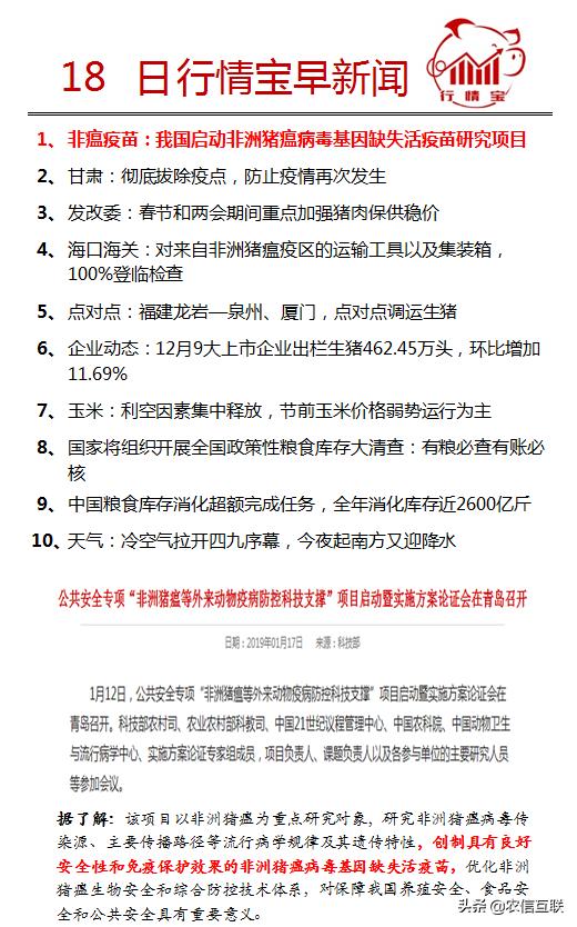 非洲疫情病毒类型探究，病毒种类、影响与应对之道