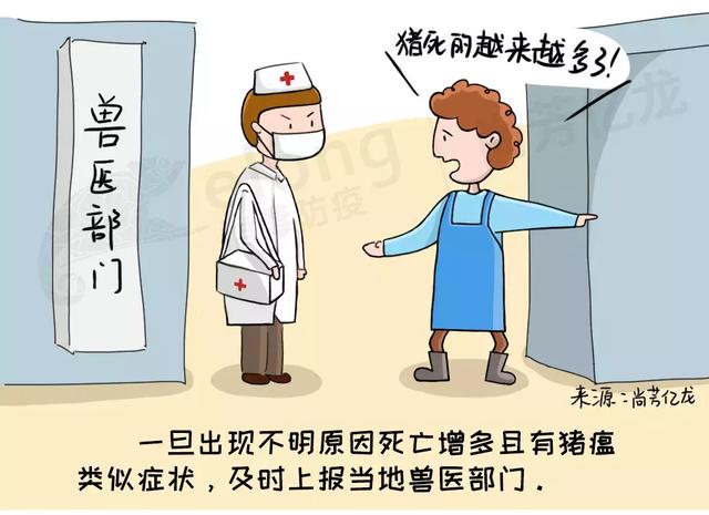 非洲疫情症状深度解析