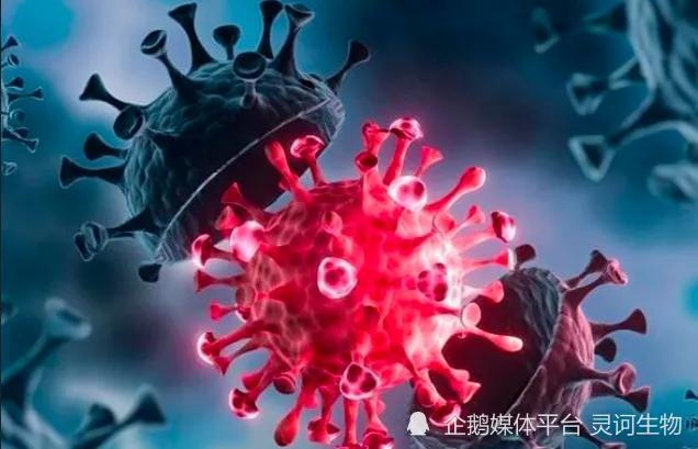 新冠疫情结束曙光，希望与未来展望