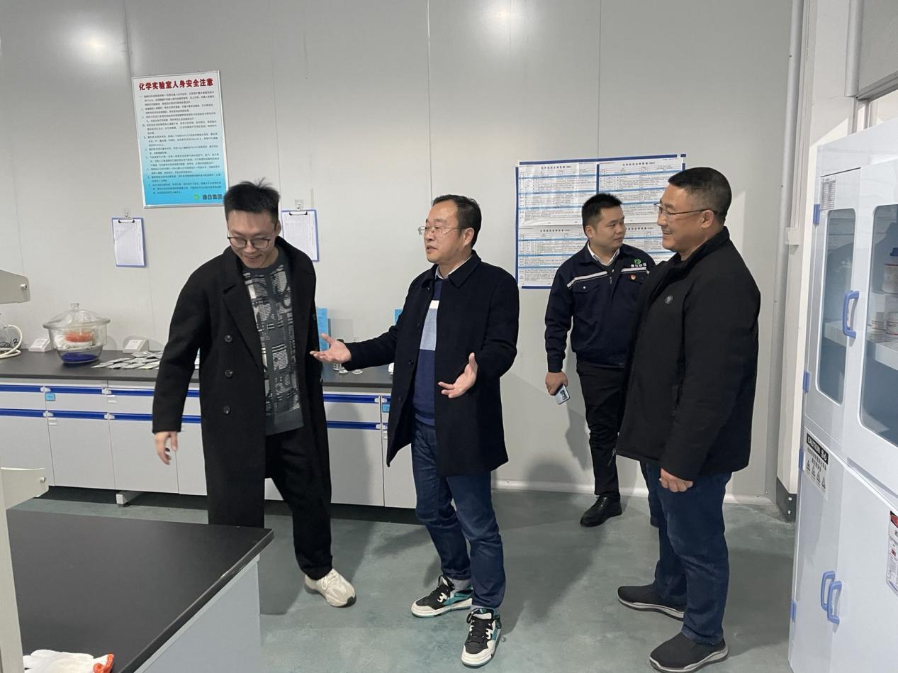 全球疫情演变与应对策略，从2019年至2022年的回顾与前瞻