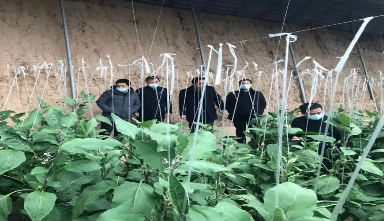 中国疫情结束时间预测，曙光已现，共同期待胜利的到来