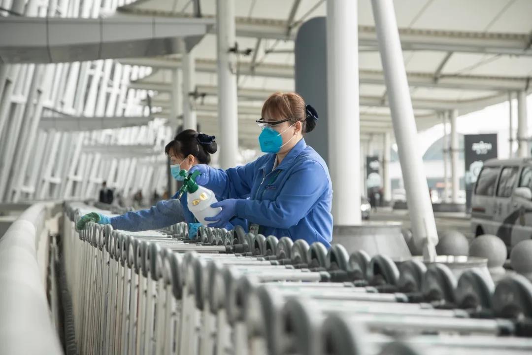全球视角下的疫情变化图，从2019到2020的概览