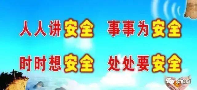新冠疫情大爆发年份回顾与反思
