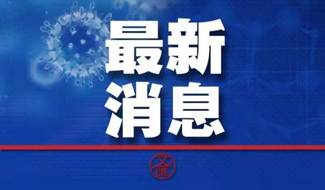 新冠疫情揭幕，初始报道与序幕篇章