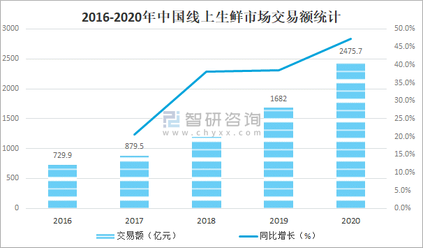 新冠疫情详解，背景、现状与影响