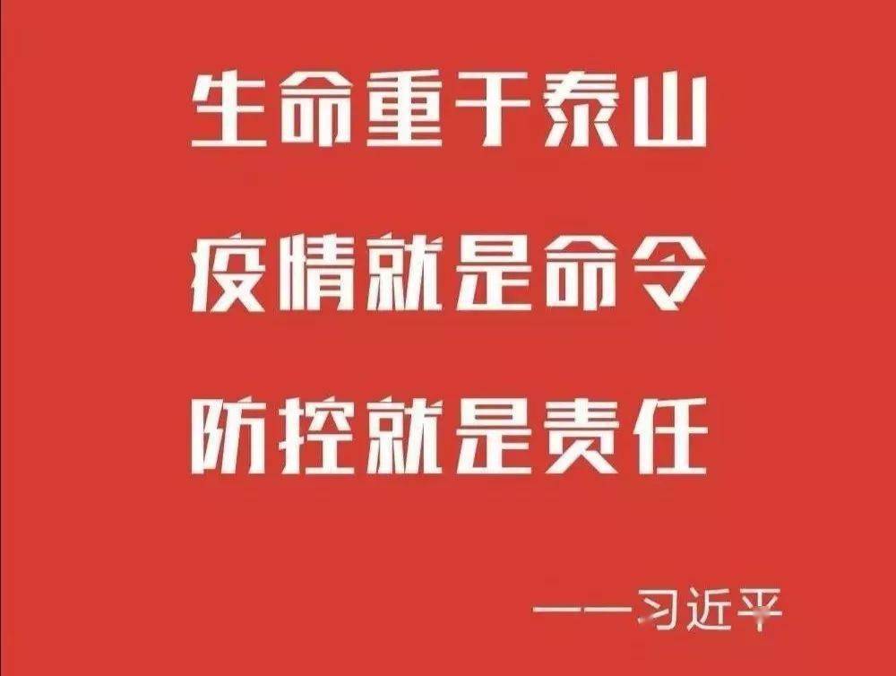 中国疫情挑战与应对，坚守前行，共克时艰