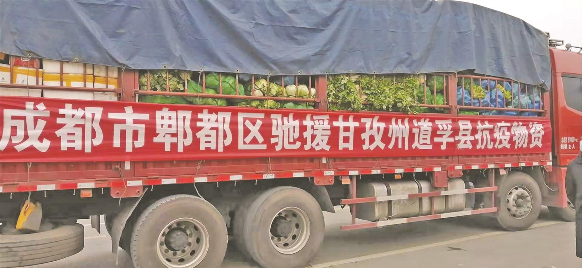中国疫情挑战与希望之路，艰辛历程回顾