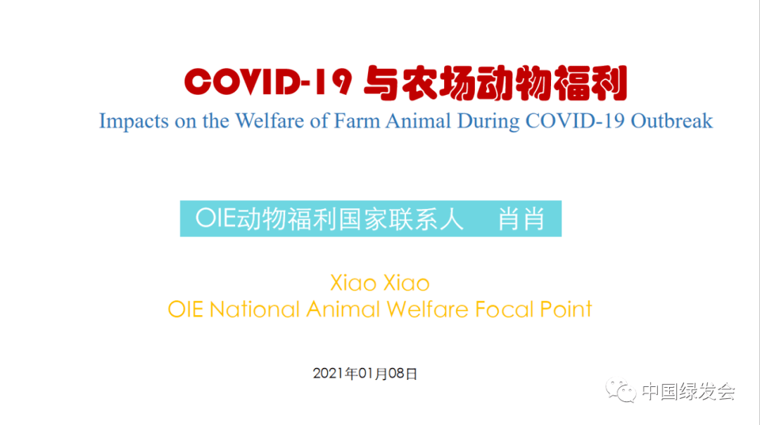 中国疫情年份回顾，挑战与坚韧并存的历程回顾