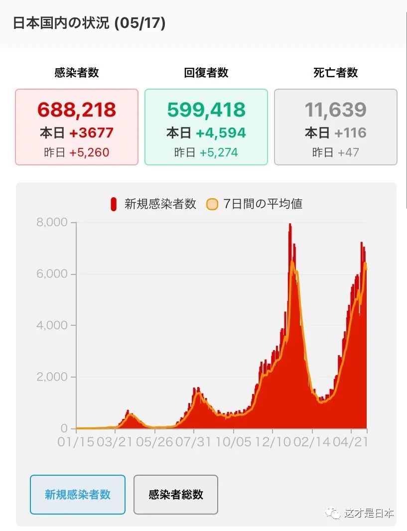 日本疫情最新动态，死亡人数统计与影响分析