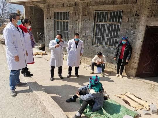 国内新冠疫情死亡数据分析与解读，揭示数据背后的真相与趋势