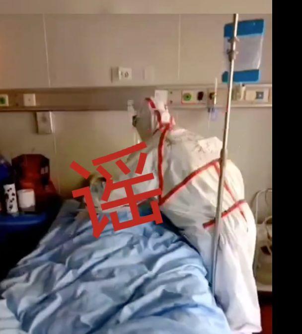 中国疫情死亡数据图，揭示真实影响与损失