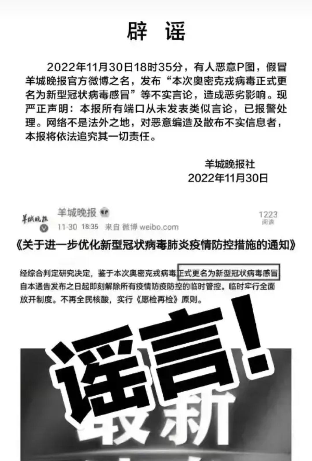 疫情防控放开策略展望，理性分析与未来趋势