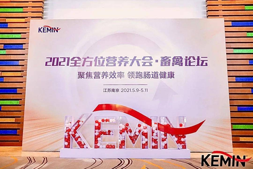 疫情何时得以遏制，全球共同应对的挑战与策略