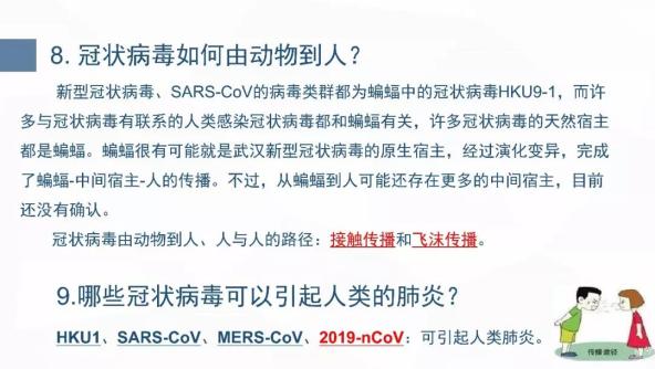 新型冠状疫情起源，回顾与反思