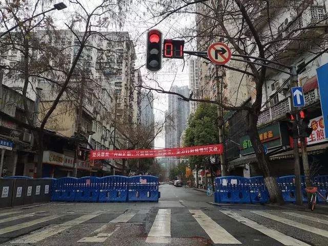 武汉疫情封城年份及其深远影响的探究