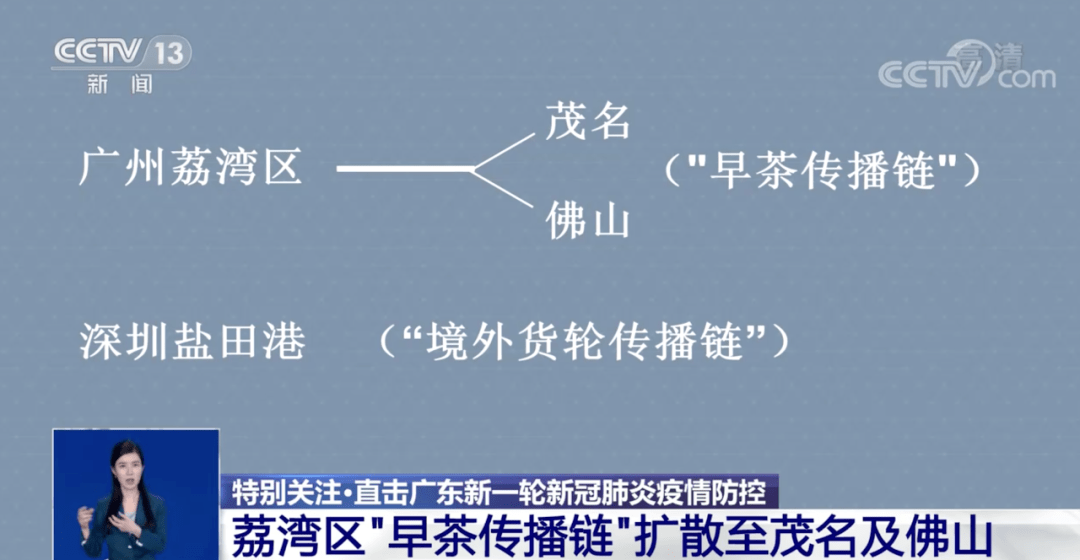石家庄疫情开始时间的深度探究与剖析