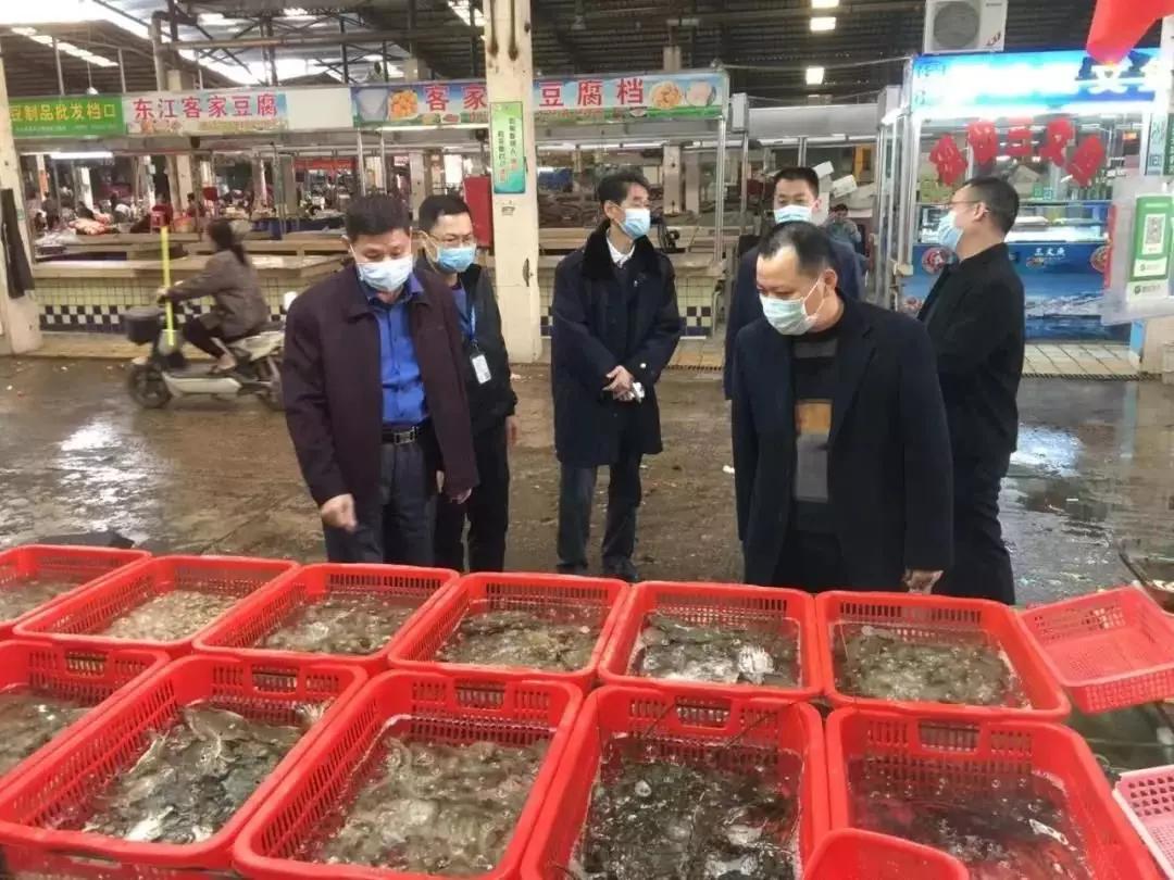 广东疫情解封城市全景概览
