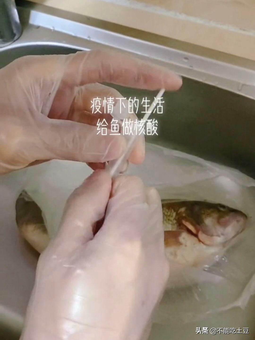 最新疫情搞笑段子集锦