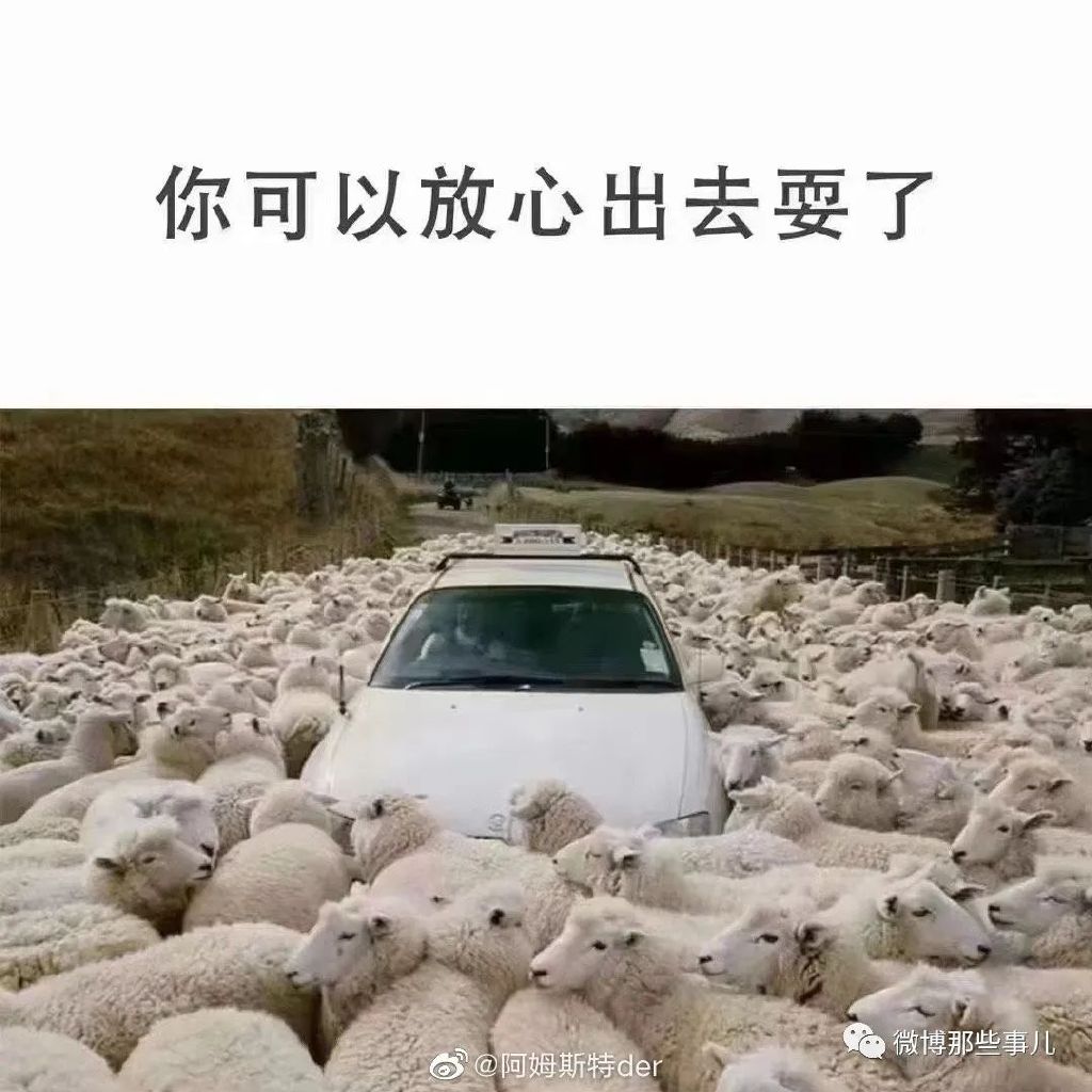 疫情阴霾下的笑声之源，搞笑段子大集结