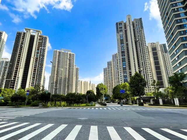 征信逾期恢复疫情证明模板详解及使用指南