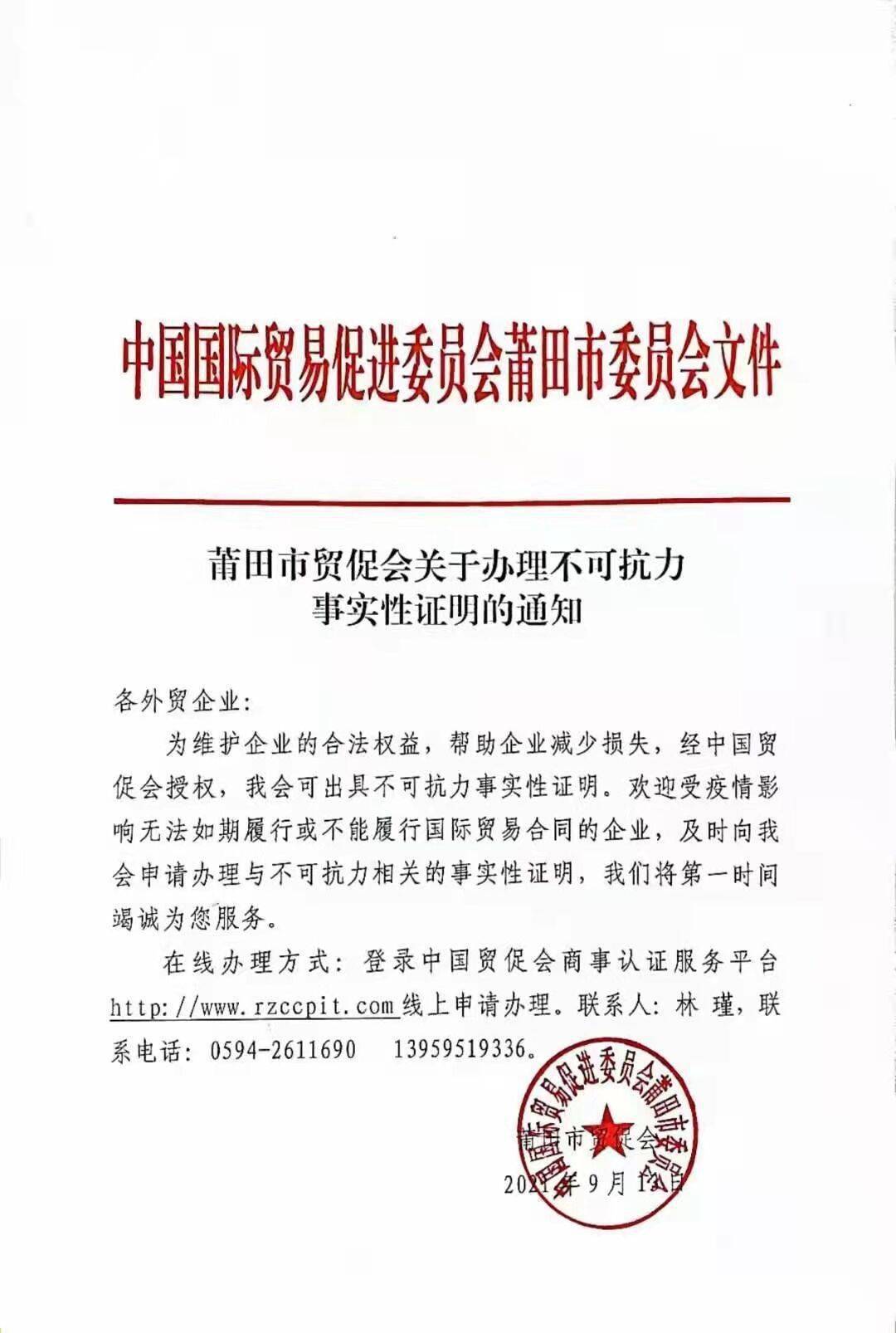 疫情下无收入证明范本使用指南与注意事项解析