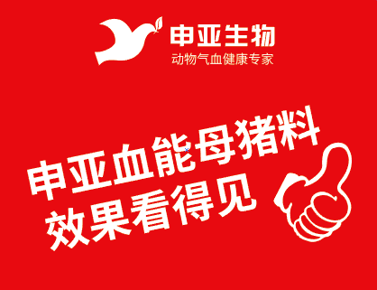 疫情后新篇章，挑战与机遇共存三年展望