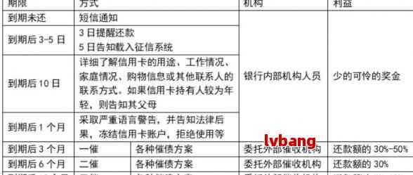 疫情下逾期征信报告调整申请指南，撰写步骤与注意事项